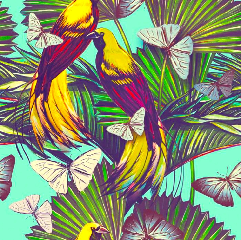 Meet your Posher, Pr